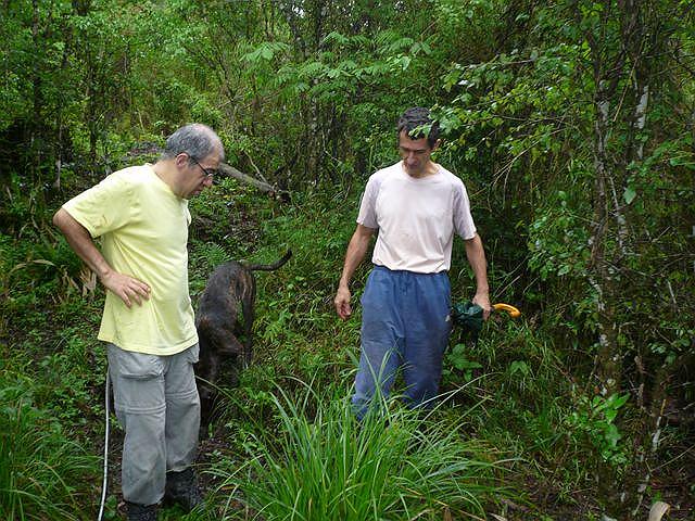 Felix conociendo la chacra con Eneko.jpg